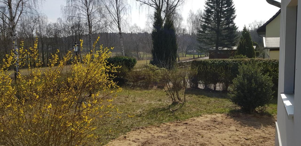 Mecklenburgische Seenplatte - Fh Mit Optionalem Steg Und Ruderboot Grosszerlang Buitenkant foto